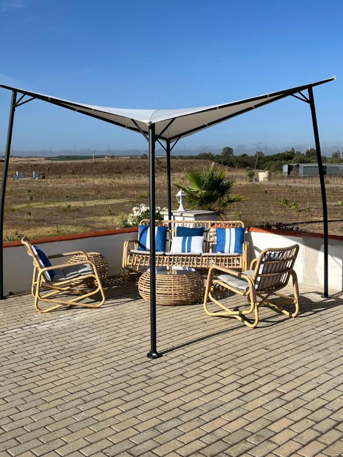 Quinta Da Amoreira 费雷拉杜阿连特茹 外观 照片